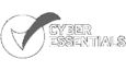 Cyber Essentials Logo